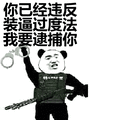 你已经违反装逼过度法我要逮捕你表情包