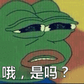 哦，是吗？表情包