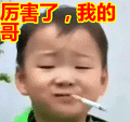 搞笑：厉害了，我的哥表情包