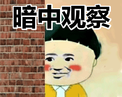 暗中观察表情包