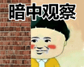 搞笑：暗中观察表情包