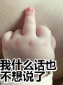 搞笑：我什么话也不想说了表情包