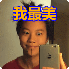 我最美表情包